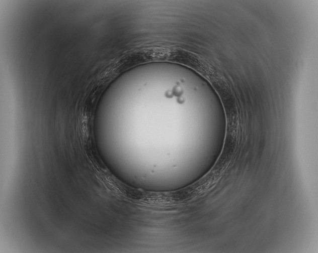 X0000116390962200912091431