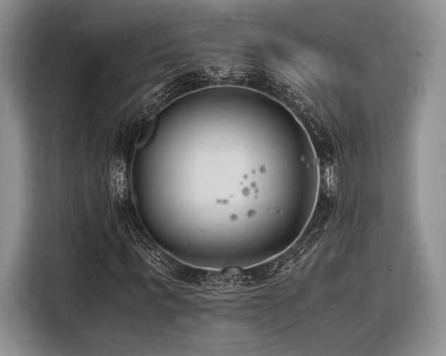 X0000116390963200912091431