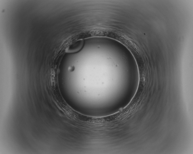 X0000116390964200912091431