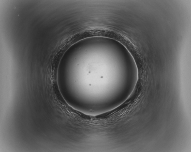 X0000116390965200912091431
