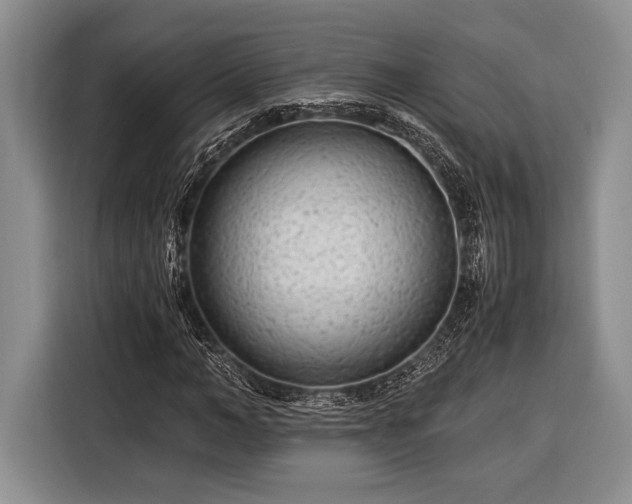 X0000116390966200912091431