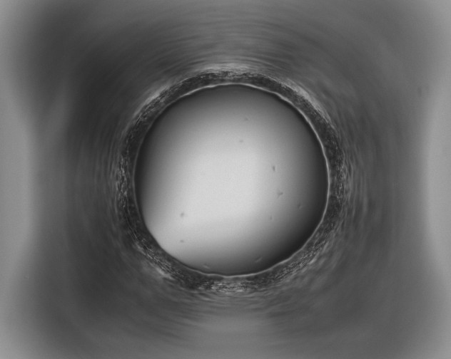 X0000116390967200912091431