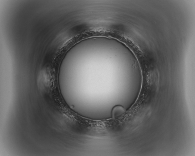 X0000116390968200912091431