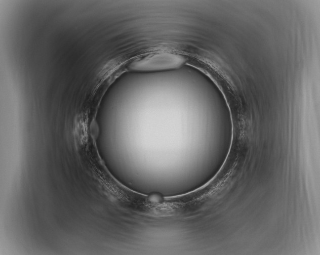 X0000116390969200912091431