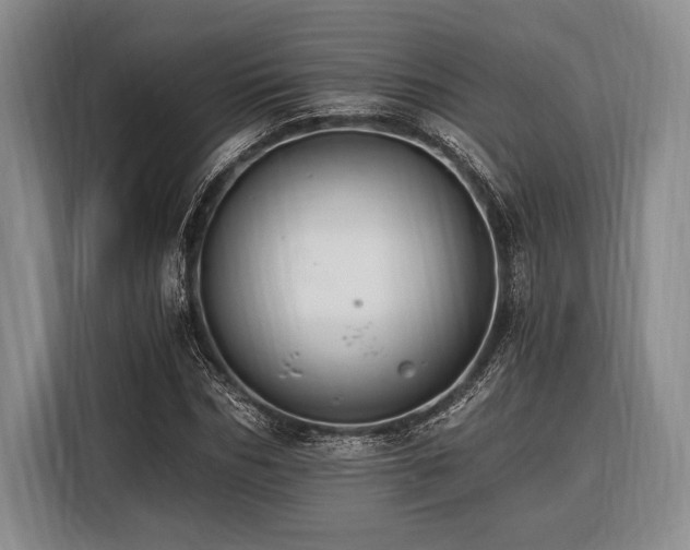 X0000116390970200912091431