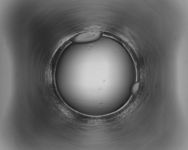 X0000116390973200912091431