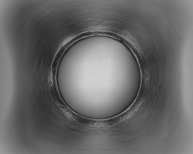 X0000116390974200912091431