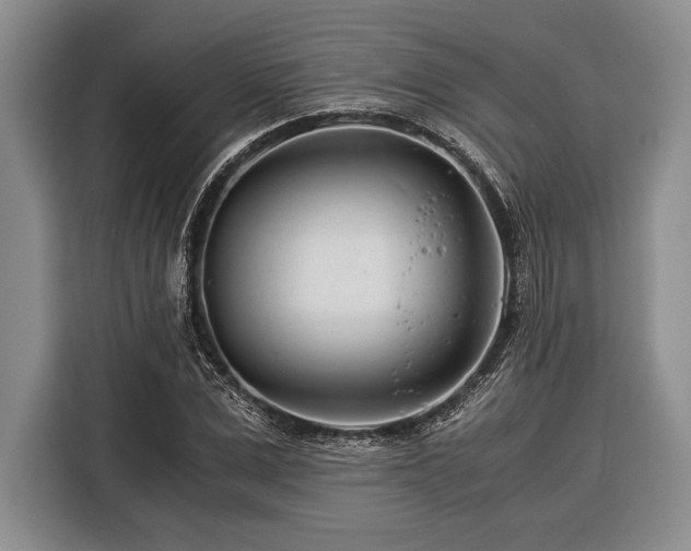 X0000116390975200912091431