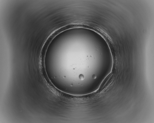 X0000116390976200912091431