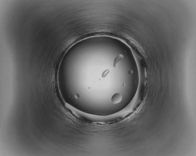 X0000116390977200912091431