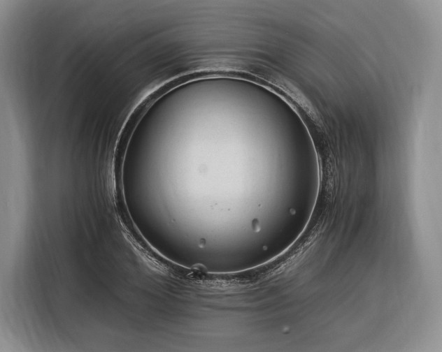 X0000116390980200912091431