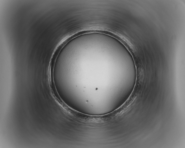 X0000116390982200912091431