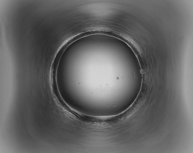 X0000116390983200912091431