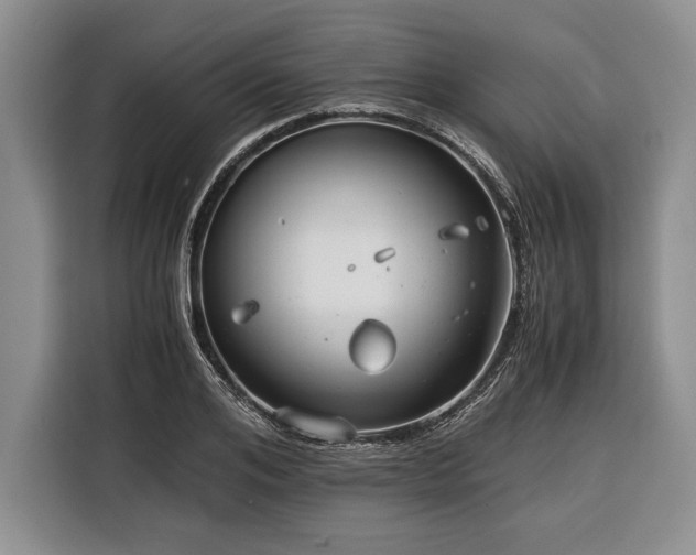 X0000116390984200912091431