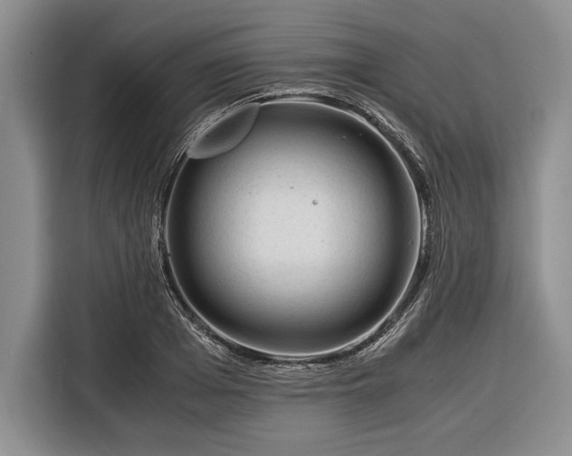 X0000116390985200912091431
