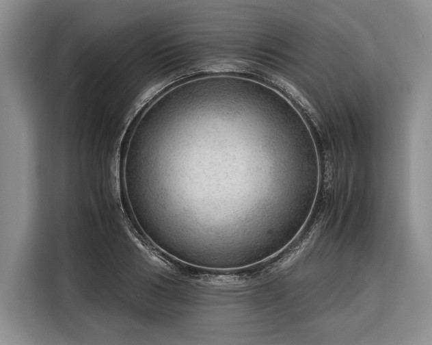 X0000116390986200912091431