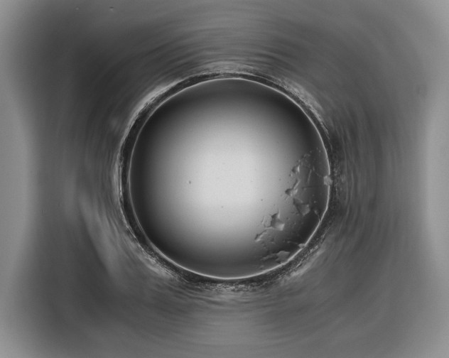 X0000116390987200912091431