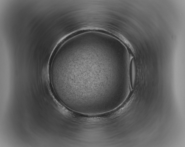 X0000116390988200912091431