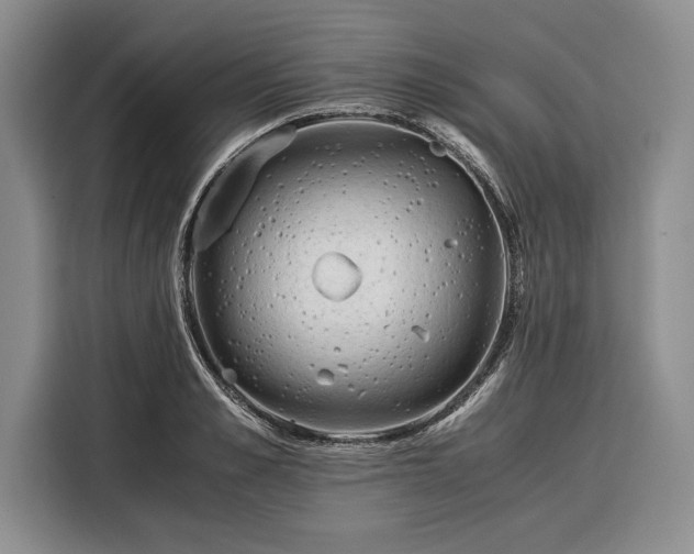 X0000116390989200912091431