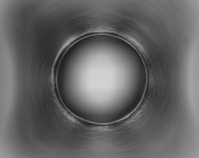 X0000116390990200912091431