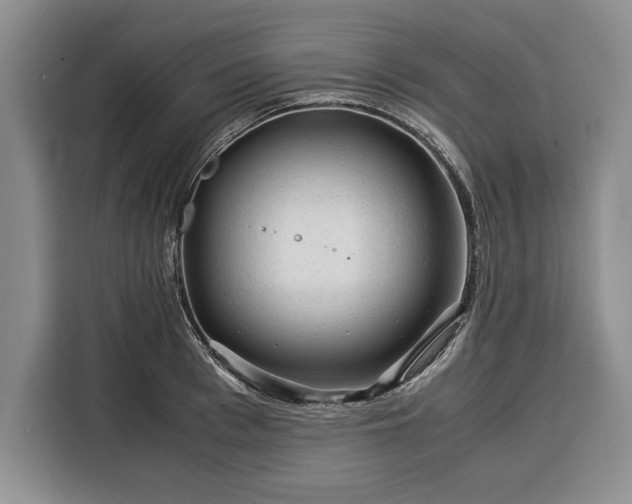 X0000116390993200912091431