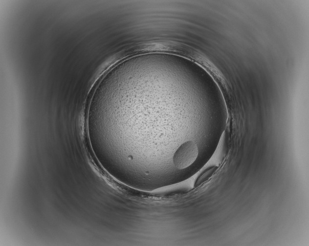 X0000116390994200912091431
