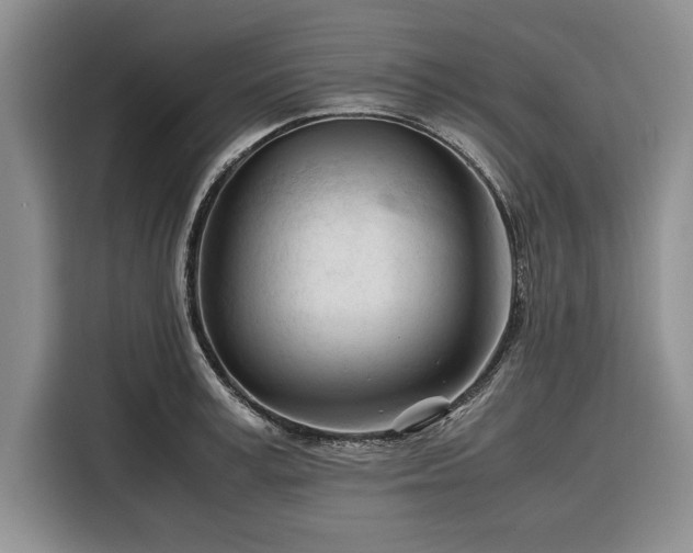 X0000116390995200912091431
