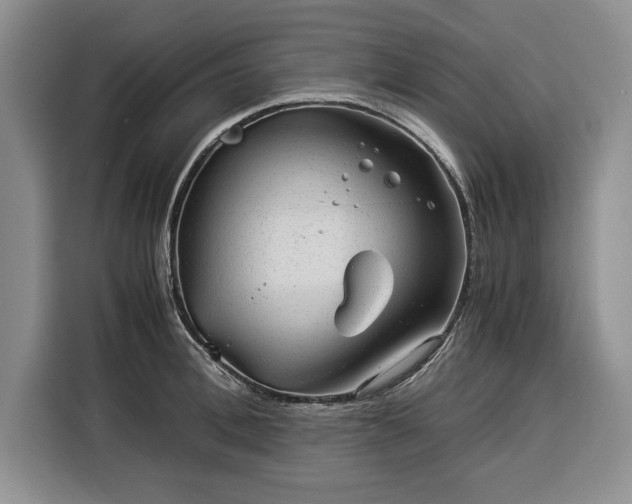 X0000116390996200912091431