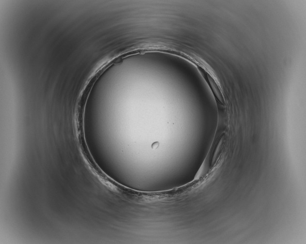 X0000116390997200912091431
