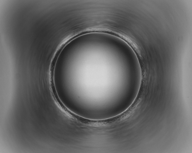 X0000116390998200912091431
