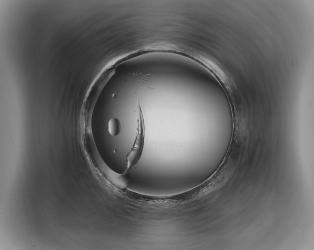 X0000116391000200912091431