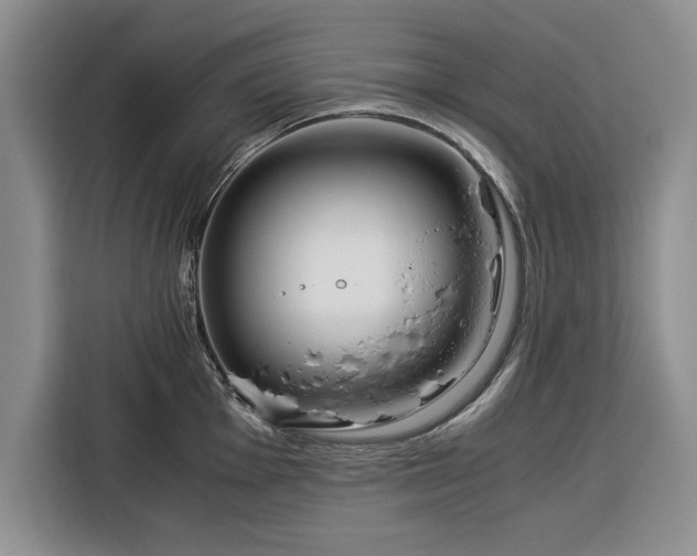 X0000116391001200912091431