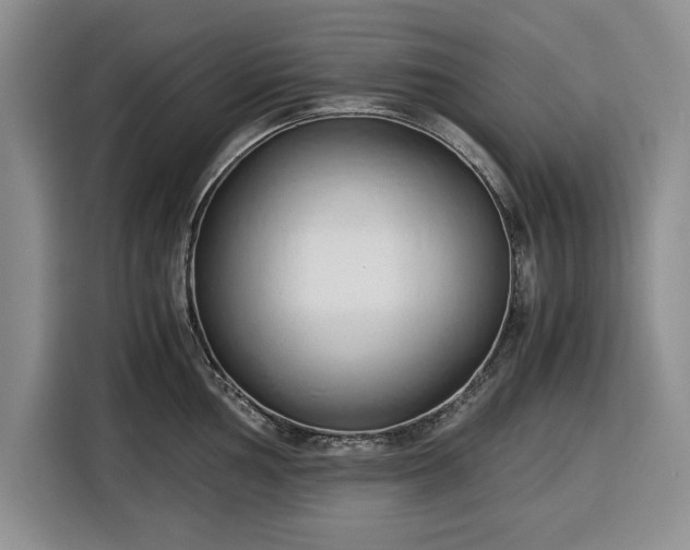 X0000116391002200912091431
