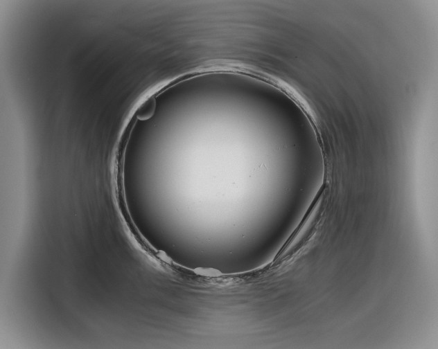 X0000116391003200912091431