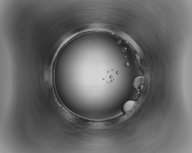 X0000116391004200912091431