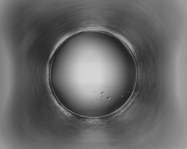 X0000116391006200912091431