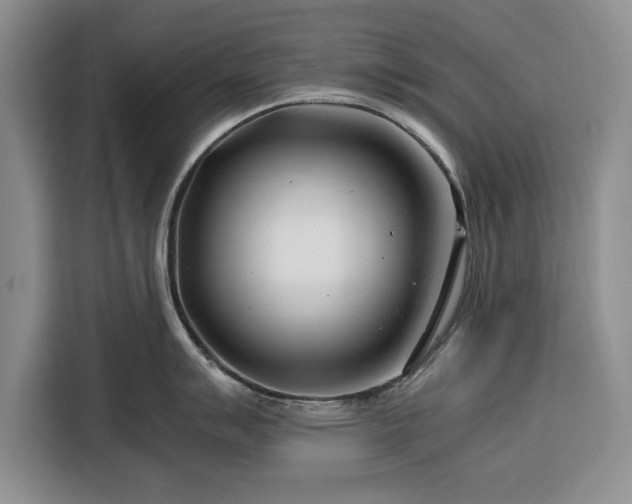 X0000116391007200912091431