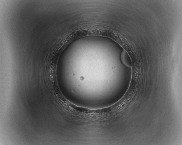 X0000116391010200912091430