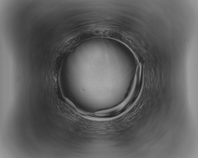 X0000116391013200912091430