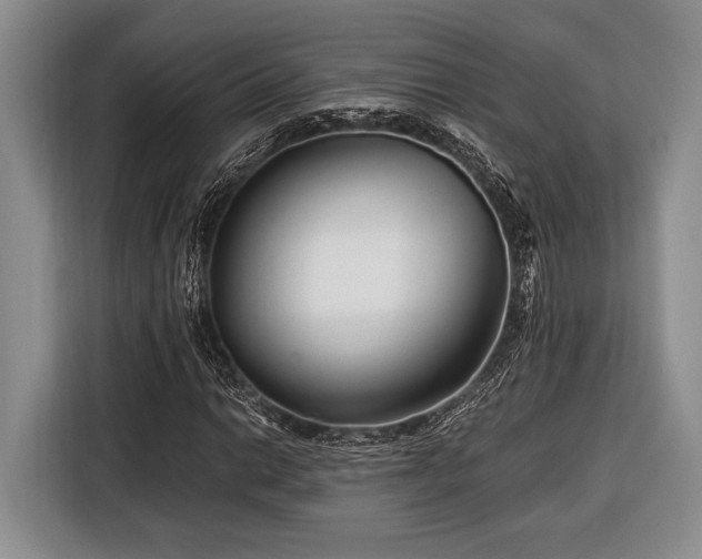 X0000116391014200912091430