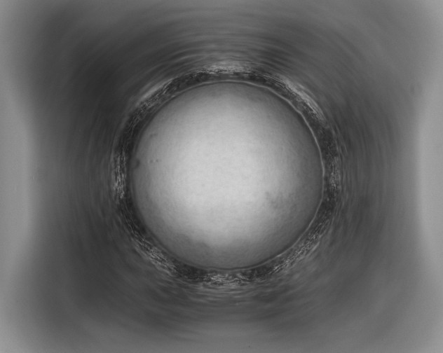 X0000116391015200912091430