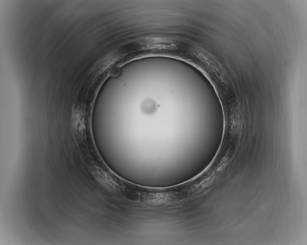 X0000116391017200912091430
