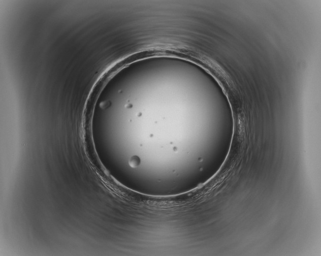 X0000116391020200912091430