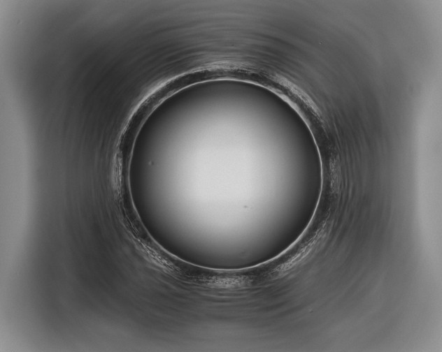 X0000116391021200912091430