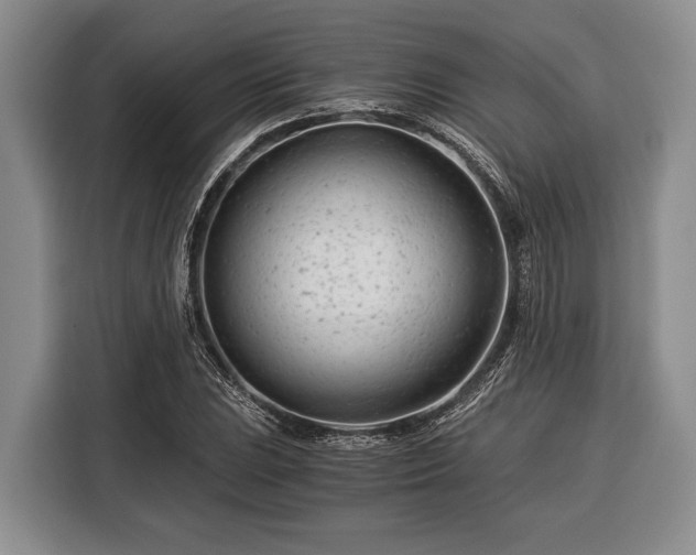 X0000116391023200912091430