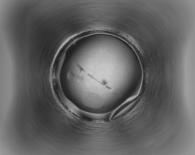 X0000116391024200912091430