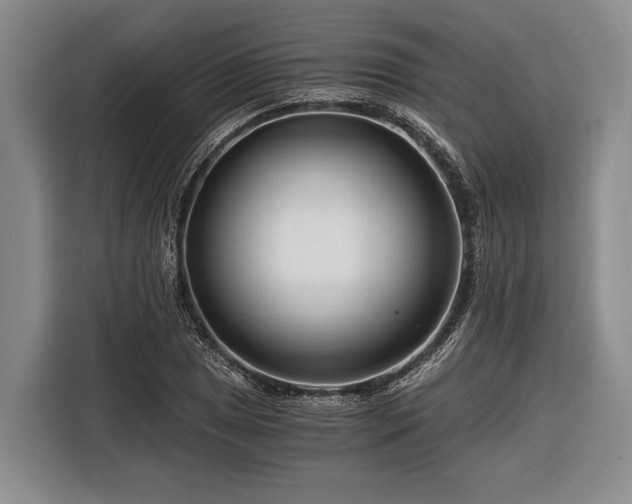 X0000116391025200912091430
