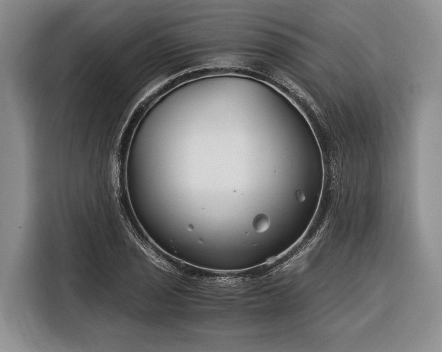 X0000116391029200912091430