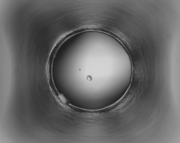 X0000116391030200912091430
