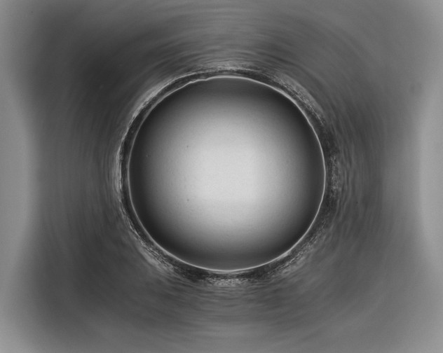 X0000116391031200912091430